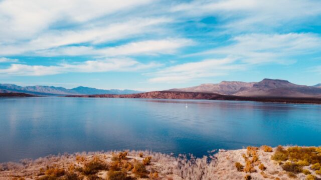 Fishing in Arizona: Desert Lakes, Main Species, Seasons, Heat and License Basics