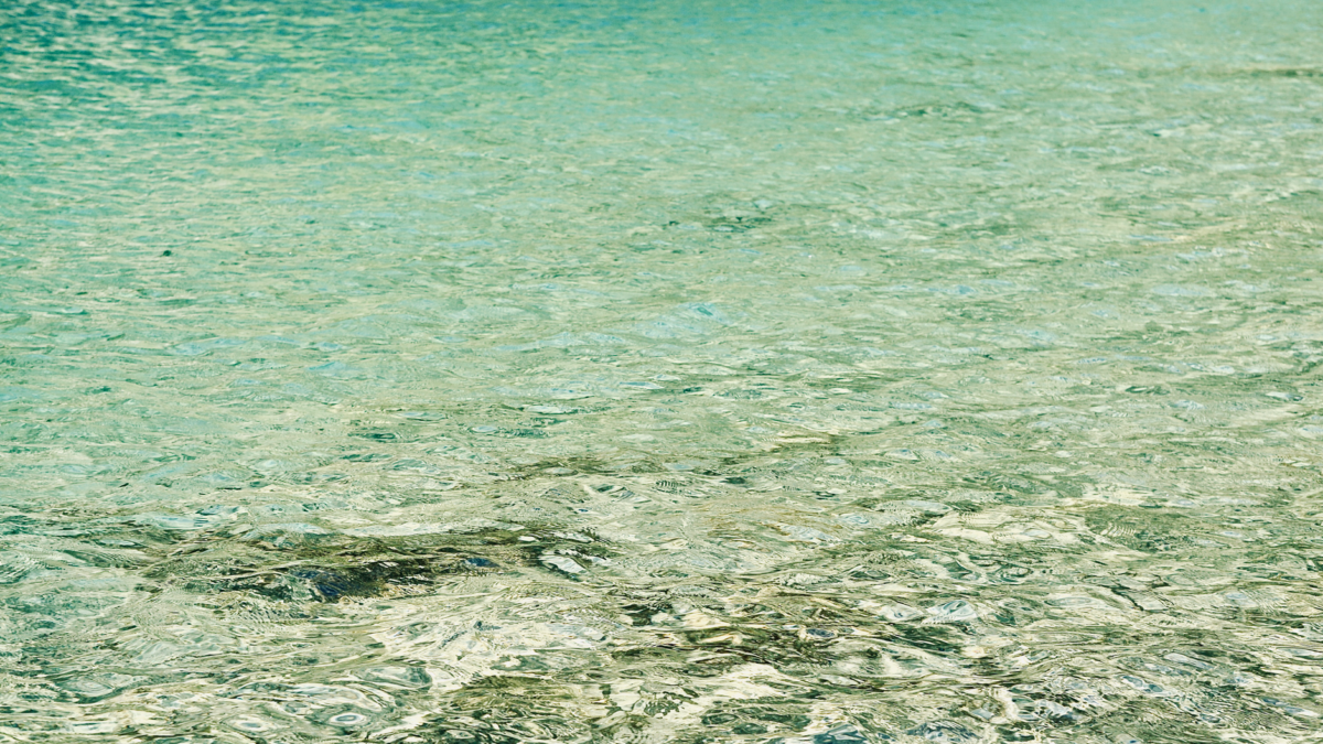Bass Spawn Water Temperature: Pre-Spawn, Spawn and Post-Spawn Ranges