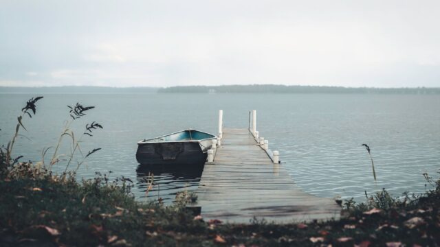 Lake Fishing for Beginners: Where Fish Hold, Simple Rigs and a First-Trip Checklist