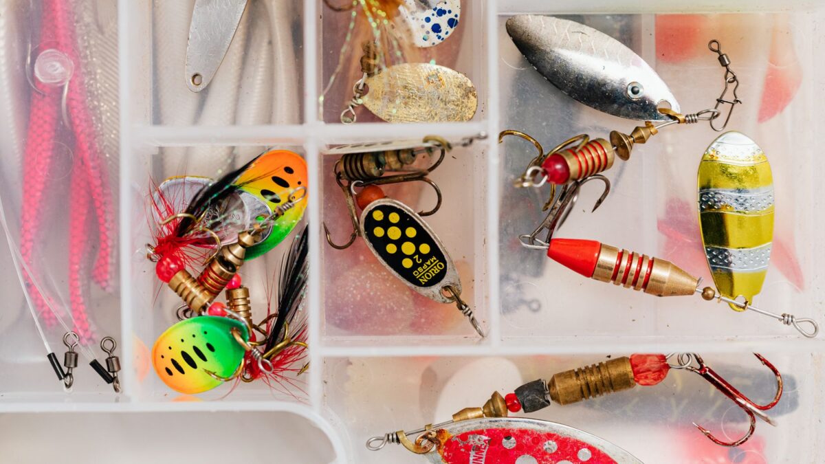 The 8 Best Bass Lures for Beginners and When to Use Each One