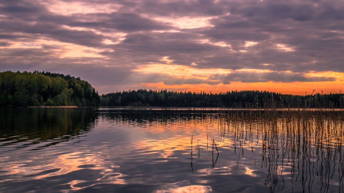 Weather and Fishing: Pressure, Fronts, Wind, Clouds, Rain and the Moon