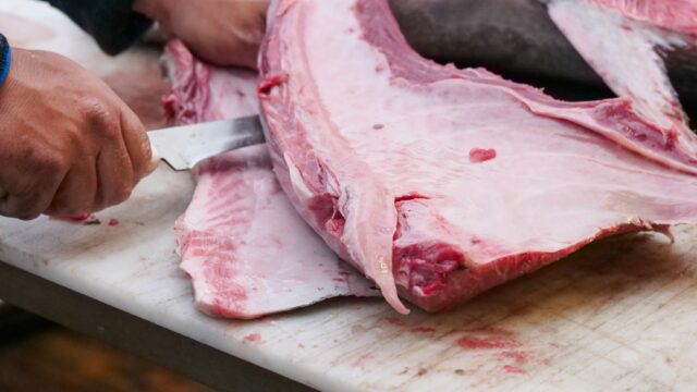 Can You Eat Bass? Taste, Which Ones to Keep, Limits and Fish Advisories