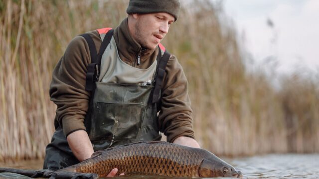 Catch and Release Best Practices: How to Give Every Fish Its Best Chance