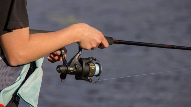 Drop Shot Rig: How to Tie It, Leader Length, Hooks and When to Use It