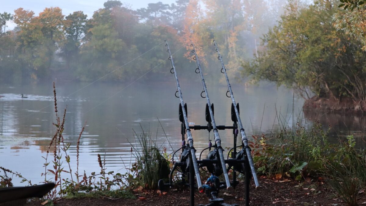 Fall Bass Fishing: Follow the Baitfish, Cover Water and Handle Turnover