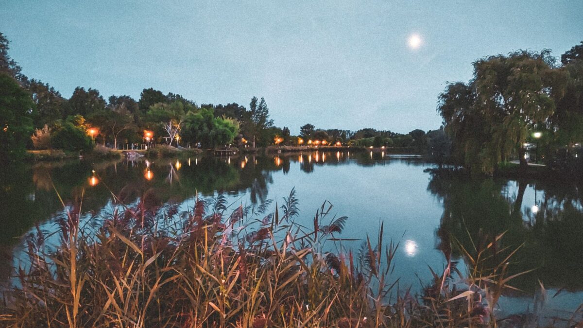 Fishing for Bass at Night: When It Works, What to Throw and How to Stay Safe