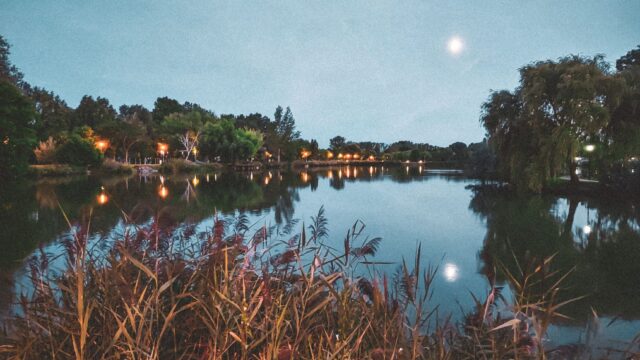 Fishing for Bass at Night: When It Works, What to Throw and How to Stay Safe
