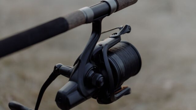 Fishing Line Weight Chart: Pound Test for Bass, Panfish, Walleye and Catfish