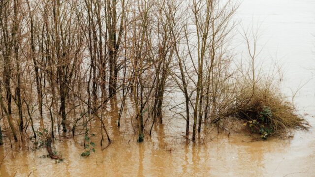 How to Catch Bass in Muddy or Stained Water