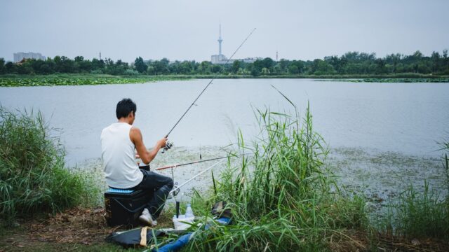 Flipping and Pitching for Bass: How Each Cast Works and the Gear You Need