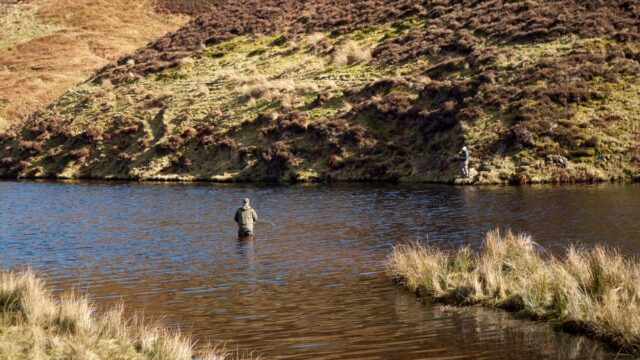 Fly Fishing for Bass: Rods, Poppers, Streamers and How to Set the Hook