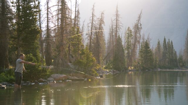 Fly Line Types Explained: Floating vs Sinking, Weight-Forward vs Double Taper