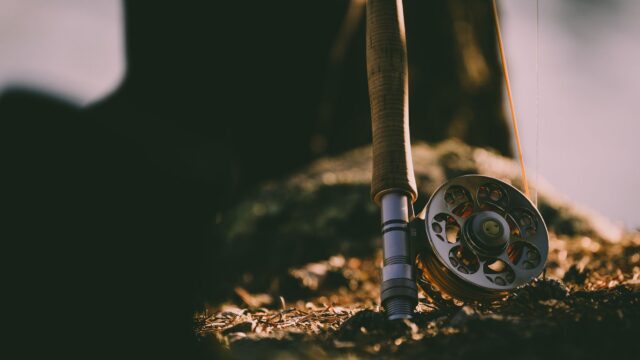 Fly Rod Weight Chart: Which Rod Weight for Trout, Bass, Panfish and Pike