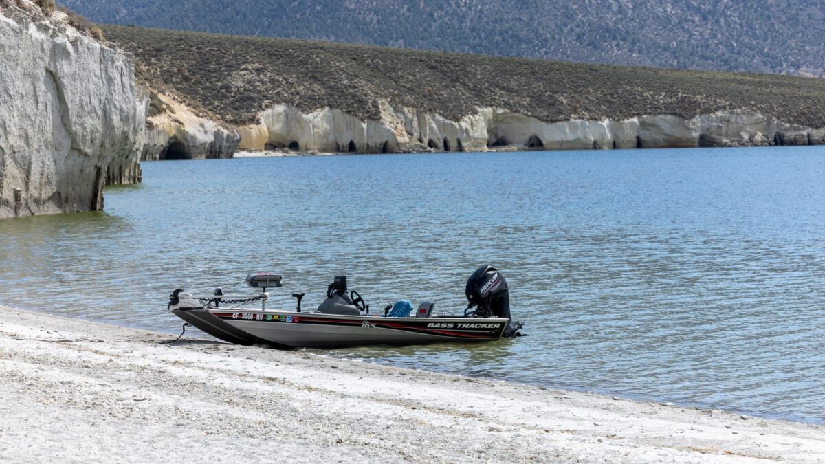 Forward-Facing Sonar Explained: LiveScope, ActiveTarget and MEGA Live, Costs and the Tournament Debate