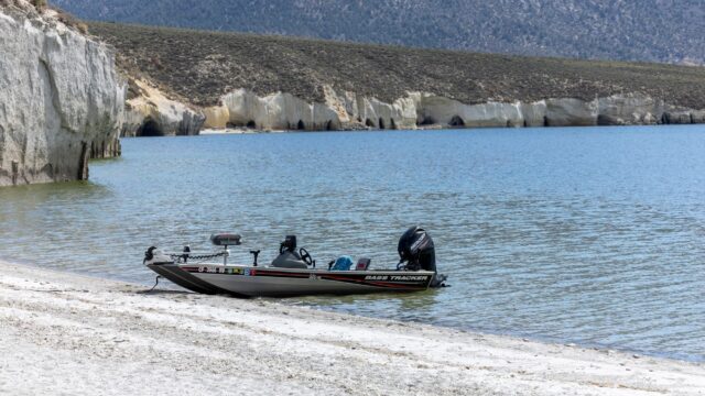 Forward-Facing Sonar Explained: LiveScope, ActiveTarget and MEGA Live, Costs and the Tournament Debate
