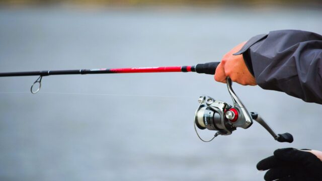 How to Choose a Fishing Rod: Power, Action, Length and the Right Rod for Each Technique