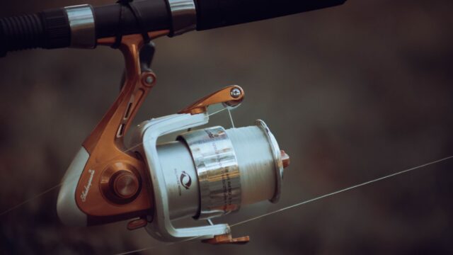 Braid vs Fluorocarbon vs Monofilament: How to Choose Fishing Line
