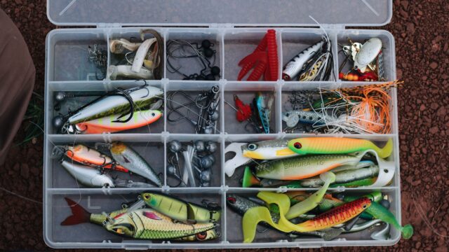 How to Fish a Crankbait: Square Bills, Deep Divers and the Retrieve That Gets Bit