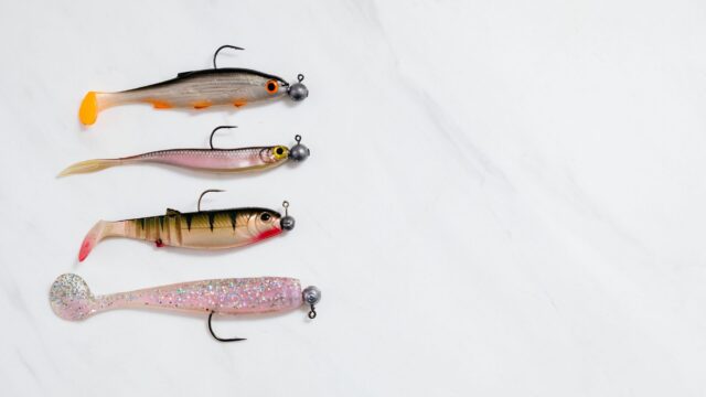 How to Fish a Jig for Bass: Football, Flipping and Swim Jigs Explained