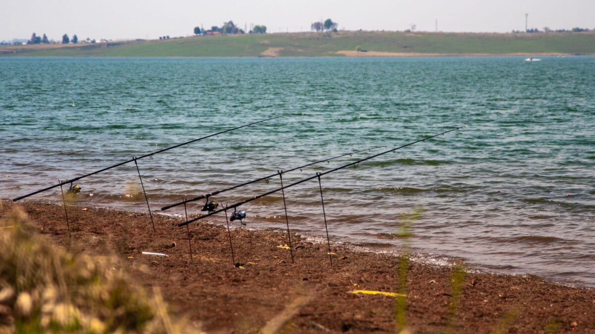 How to Get a Fishing License: Who Needs One, Where to Buy It and Which Stamps You Need