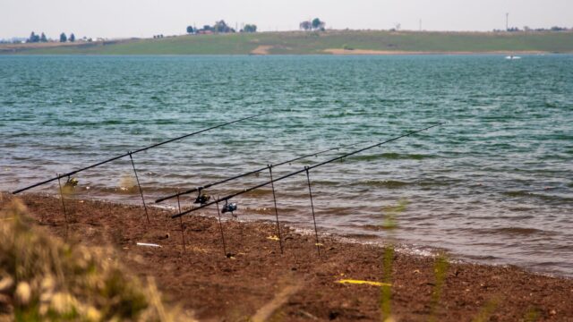 How to Get a Fishing License: Who Needs One, Where to Buy It and Which Stamps You Need