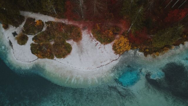 How to Read a Lake for Bass: Maps, Structure and Cover Explained