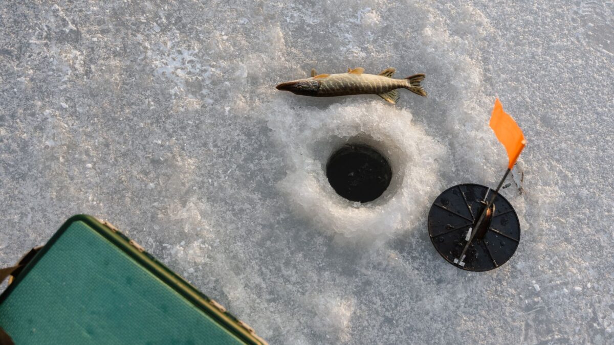 How to Use Tip-Ups for Pike and Walleye: Setup, Bait, Depth and Flags