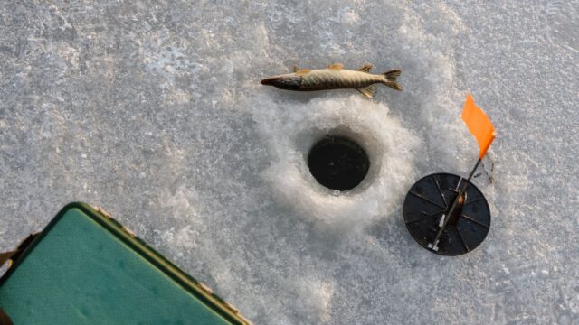 How to Use Tip-Ups for Pike and Walleye: Setup, Bait, Depth and Flags