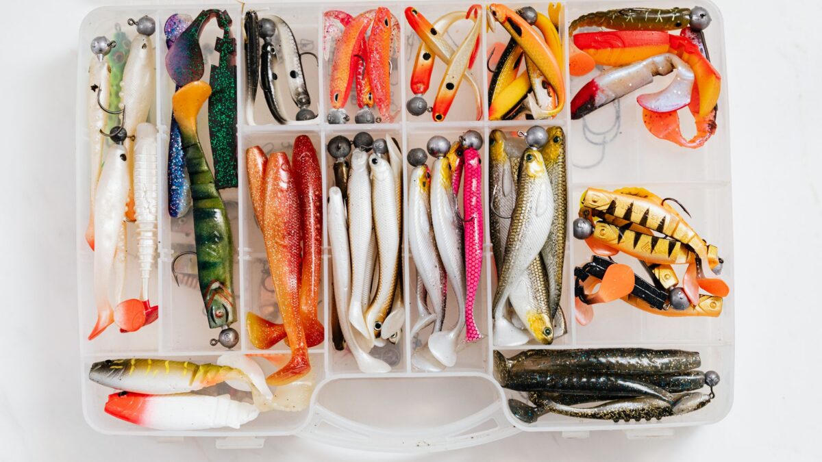 How to Choose Lure Colors for Bass: Water Clarity, Light and Forage