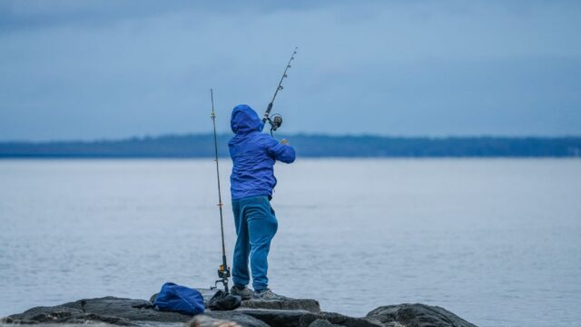How to Fish a Ned Rig: Jighead Weights, Baits and the Retrieves That Work