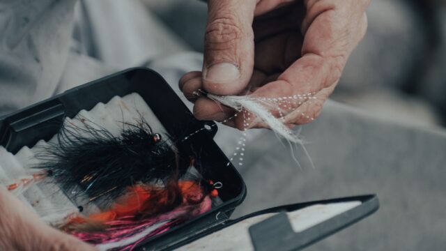 How to Tie a Palomar Knot: Step by Step, Why It Holds and When to Use Something Else