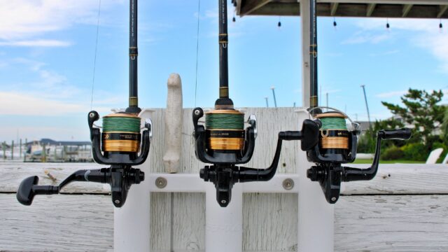 spinning reel fishing rod