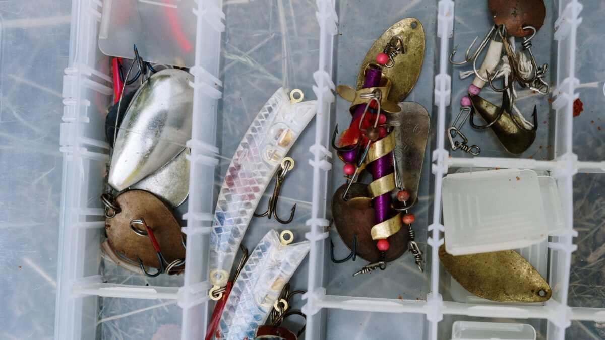 Spinnerbait vs Chatterbait: How They Differ and When to Throw Each