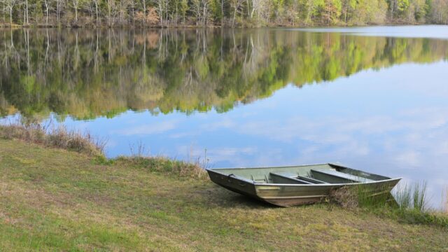 Spring Bass Fishing: How to Find and Catch Bass From Pre-Spawn to Post-Spawn