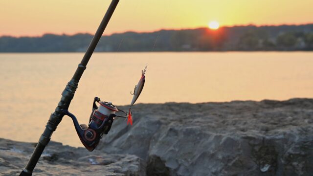 Summer Bass Fishing: Where Bass Go in the Heat and How to Catch Them