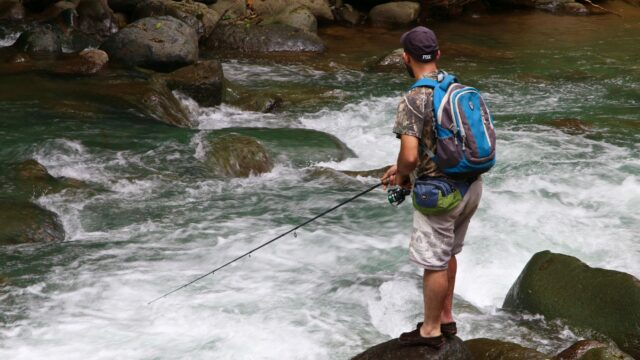Telescopic Fishing Rods: Pros, Cons and When They Make Sense