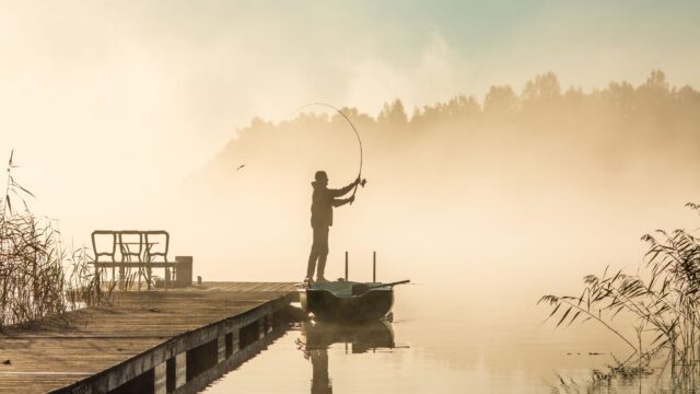 Topwater Lures for Bass: Frogs, Poppers, Walking Baits, Buzzbaits and Prop Baits